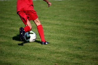 爱游戏app推荐-体育新闻中心发布体育短视频内容运营新策略，体育短视频存在的问题